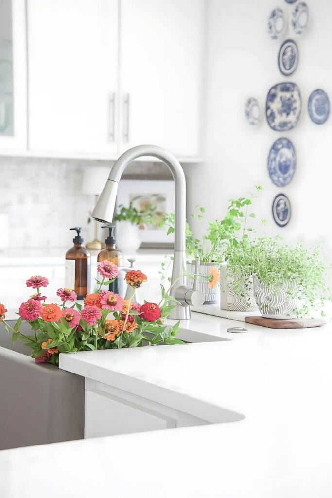 1 DECORATING KITCHEN COUNTERTOPS-herbs near the sink