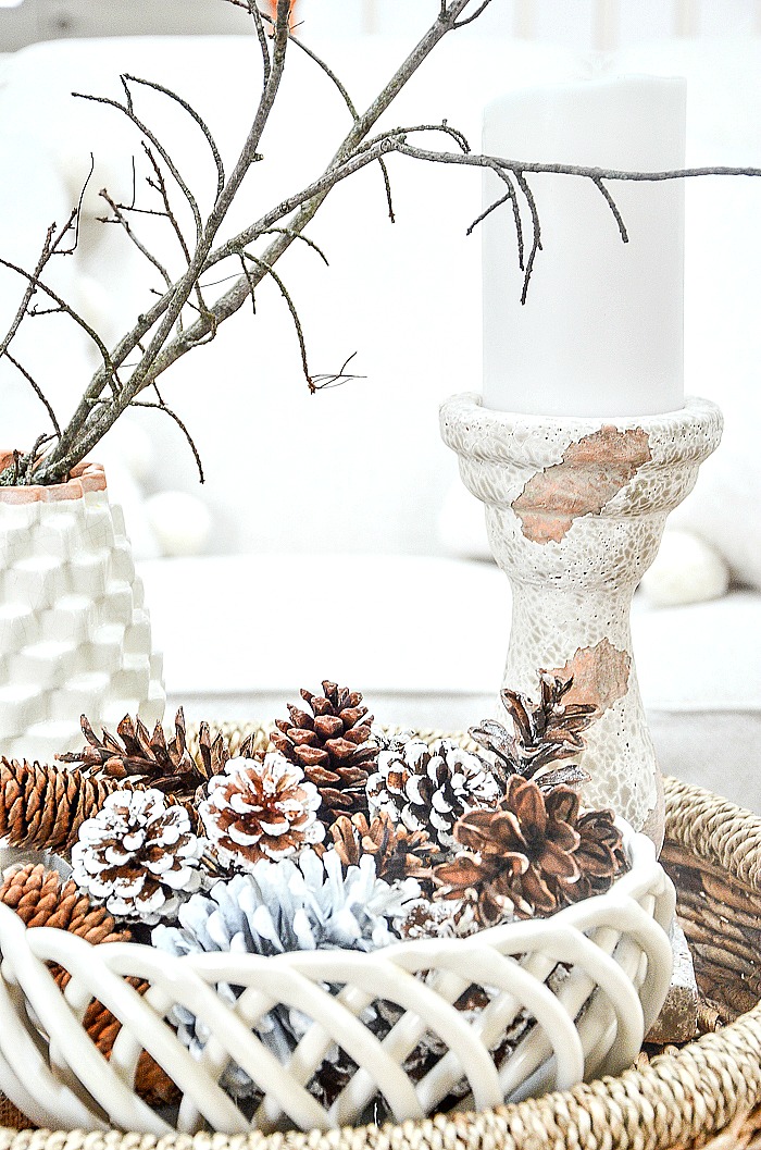 winter vignett with pinecones and twigs
