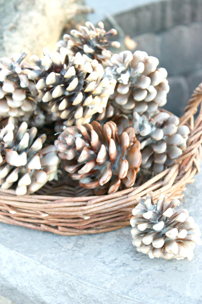 Easy Pinecone Firestarters