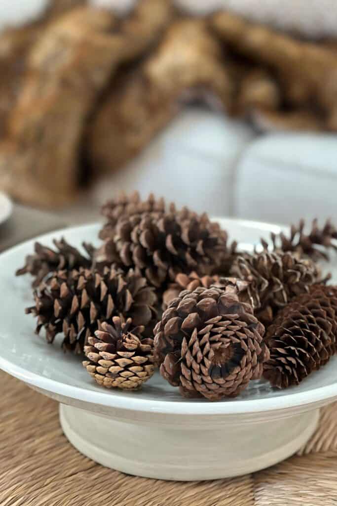 pinecones on a white dish