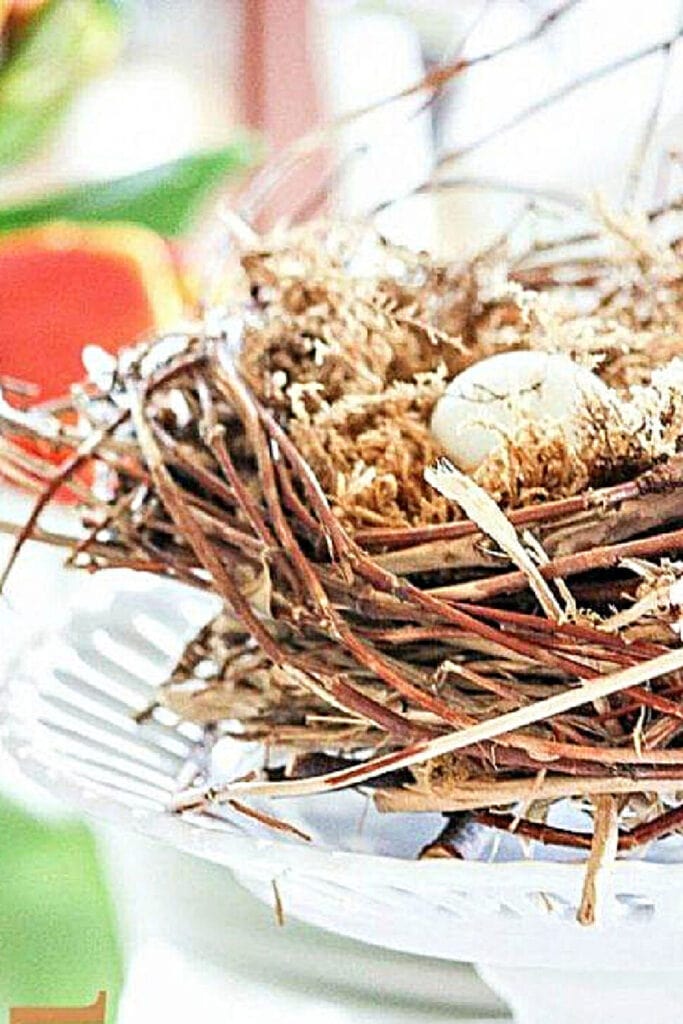 nest with eggs in it