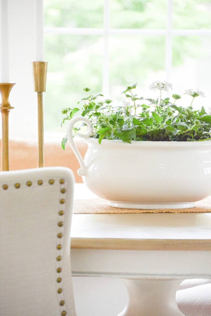 run with plant on a layered dining room table