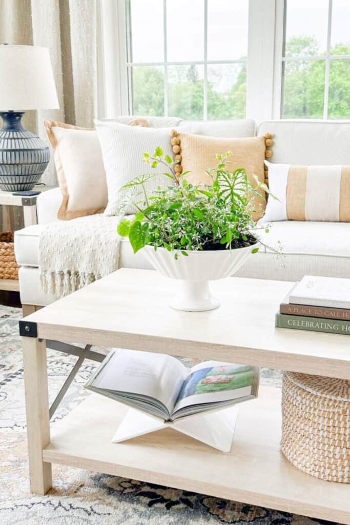 BOWL OF GREEN PLANTS ON A COFFEE TABLE