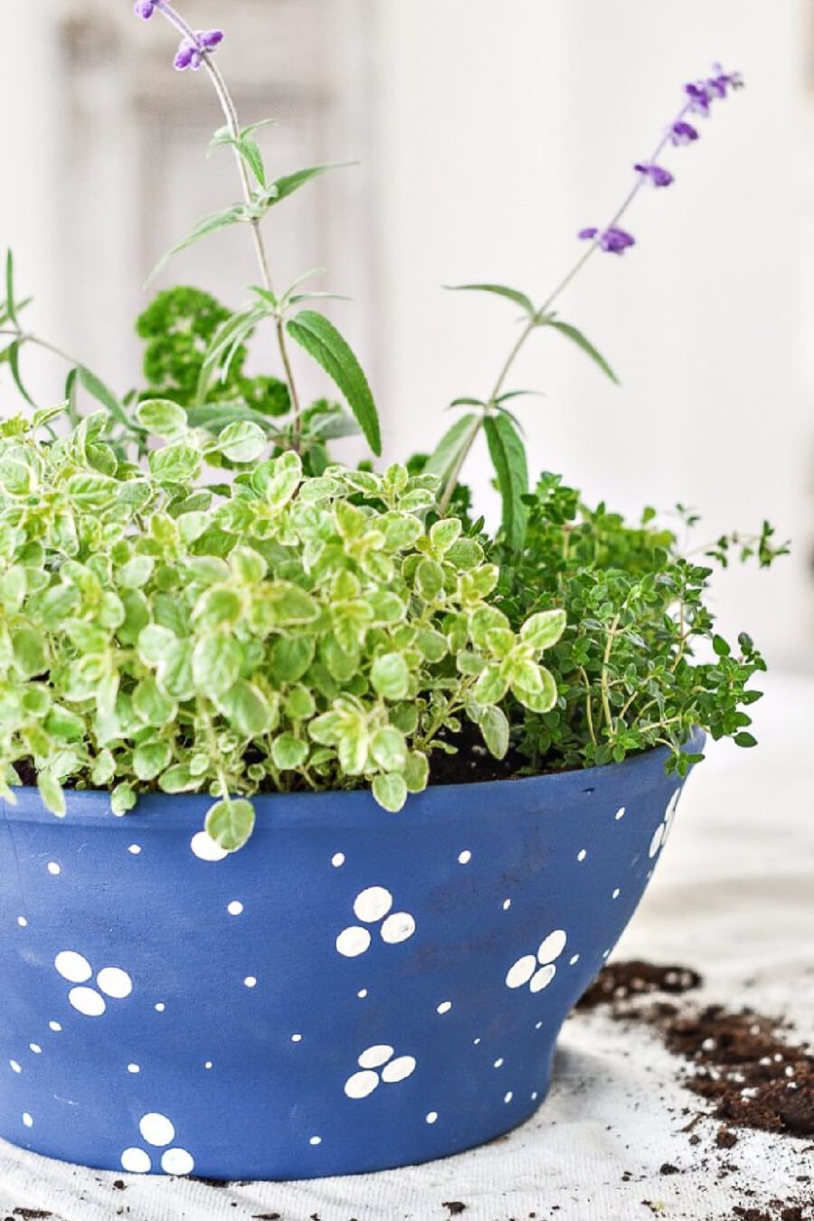 Pretty Container Herb Garden DIY