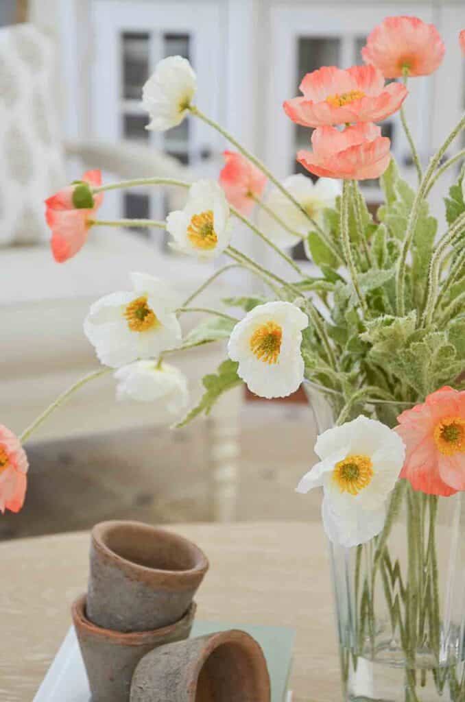 poppies with bended stems