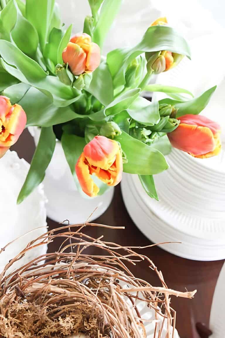 orange tulips and a nest