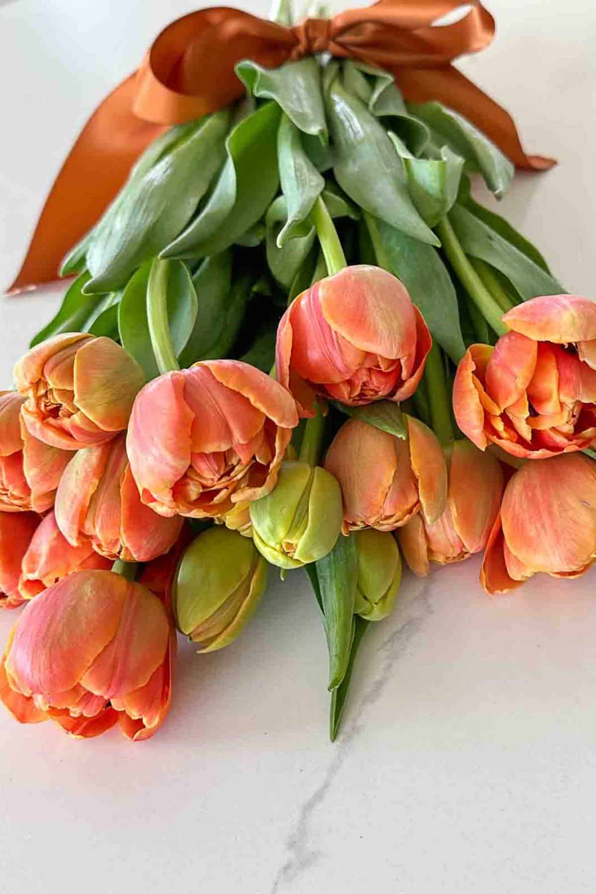 tulips