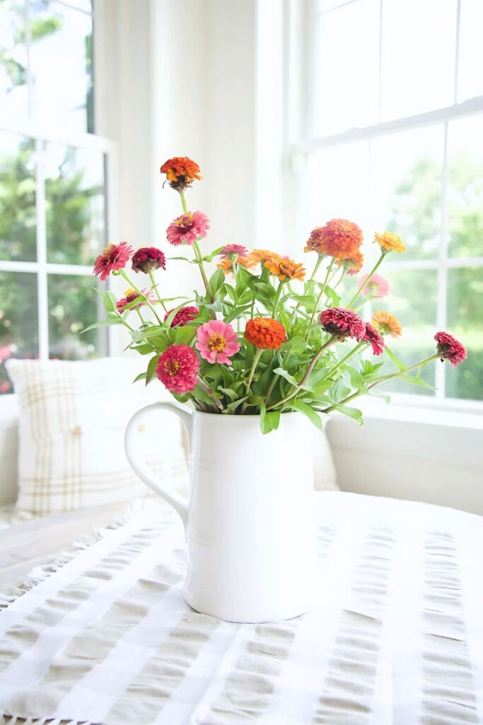 hydrangeas in a pitcher