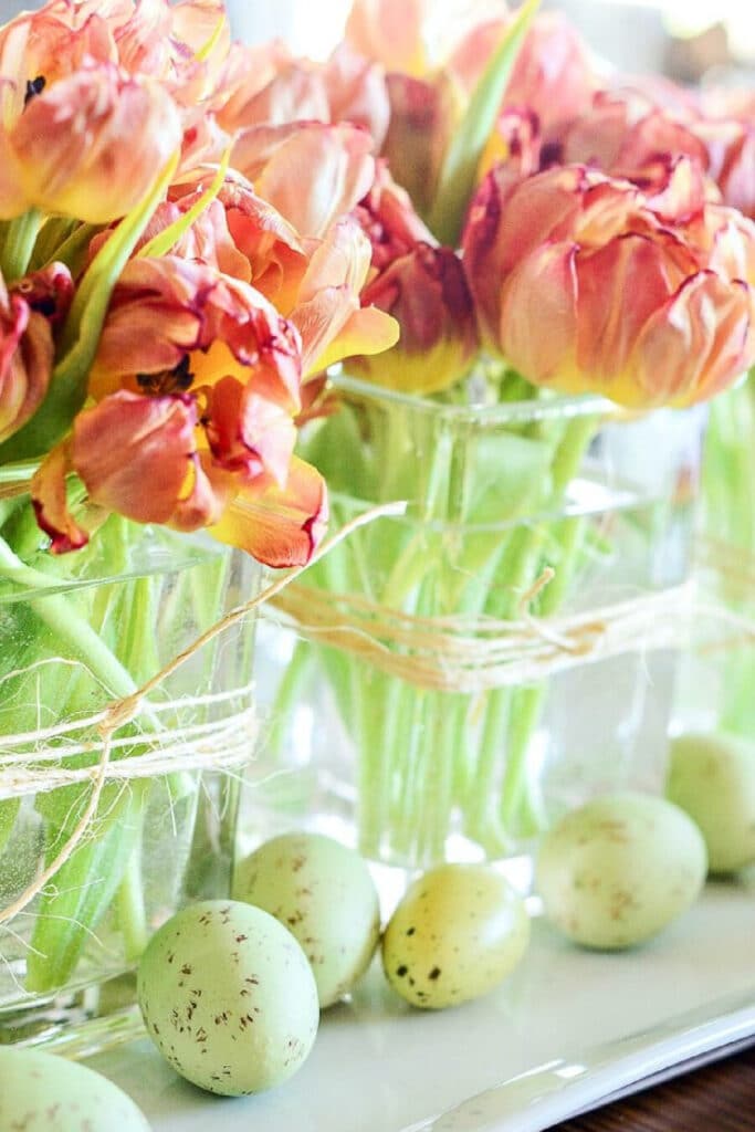 tulips in a glass containers 