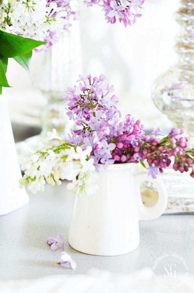 pretty small white container of fresh lavender looks pretty in a decluttered home