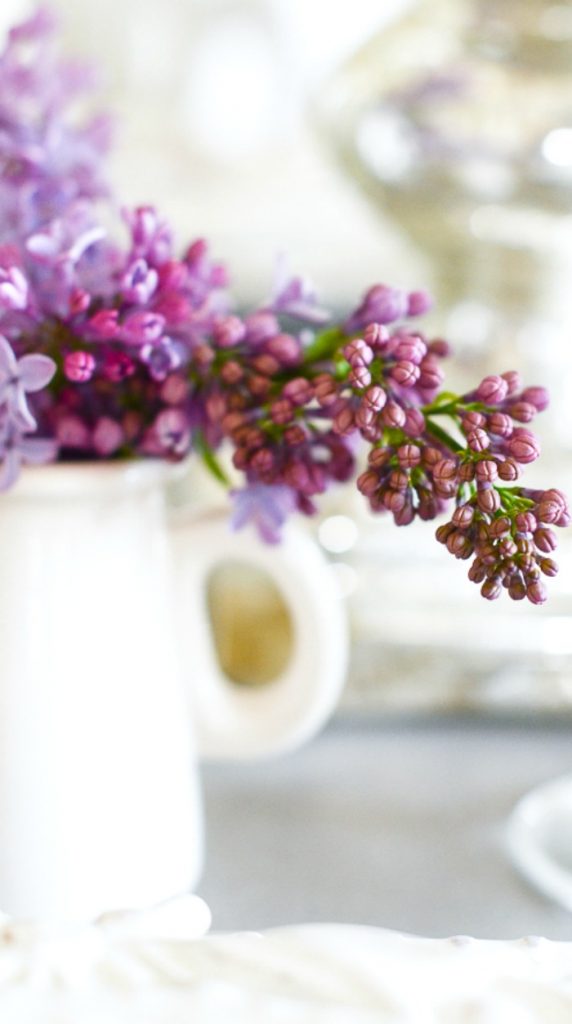 small branch of lilacs