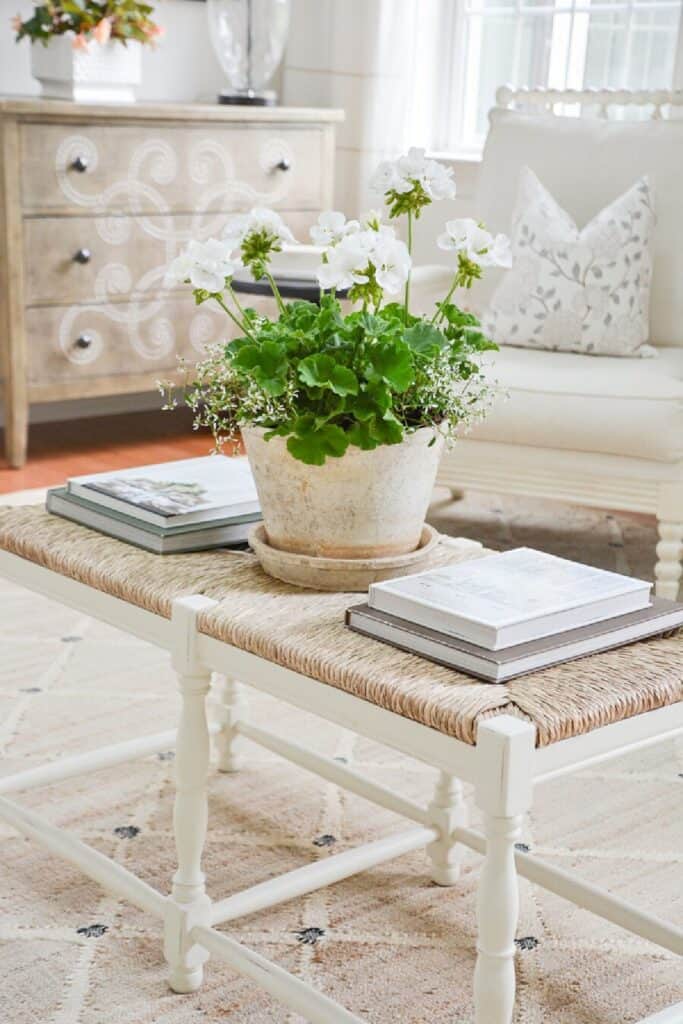 SIMPLE COFFEE TABLE