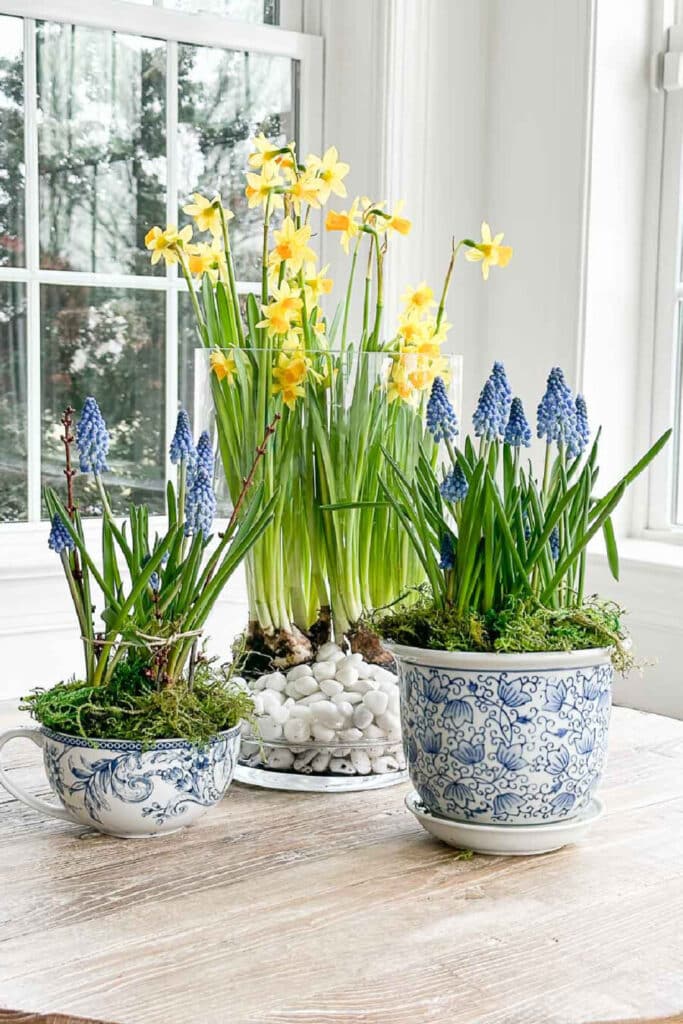 spring flowers potted in interesting pots