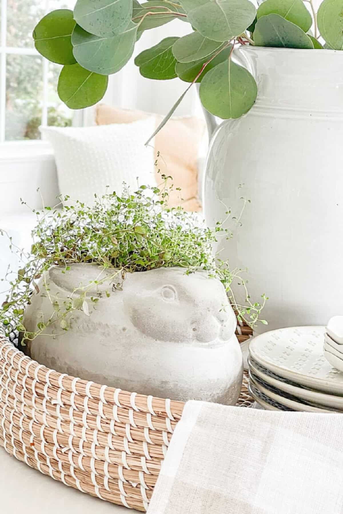 6 Things To Do For Spring Now
