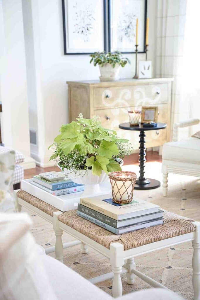 coffee table with a plant on it
