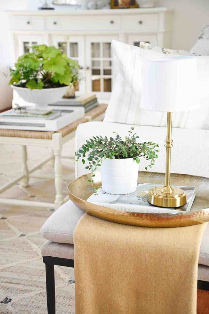decorative throw over an upholstered bench.