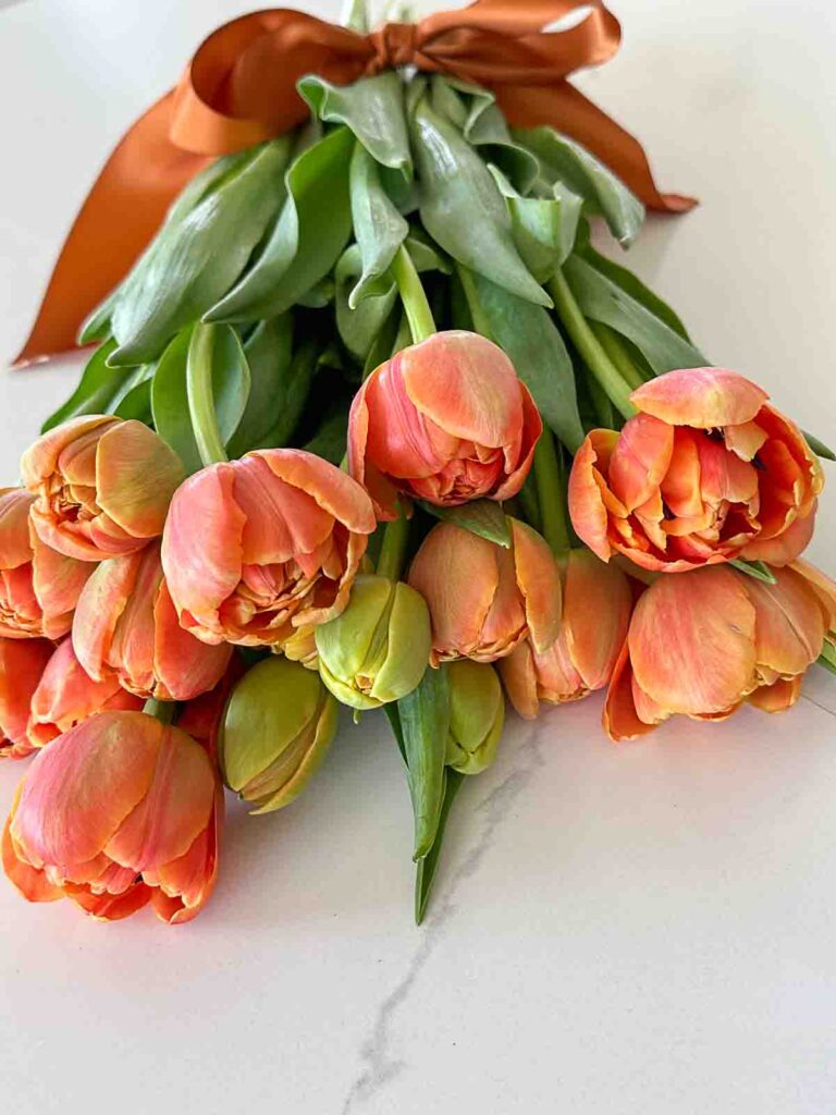 cut tulips