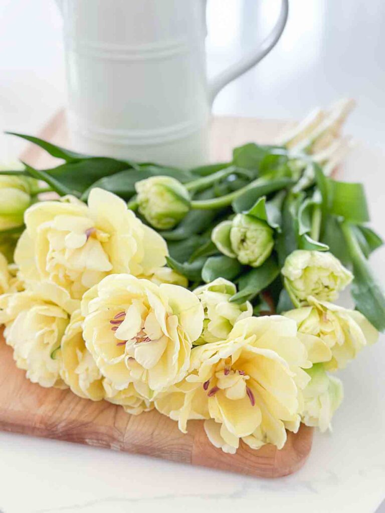 YELLOW TULIPS
