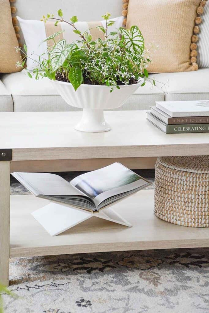 vignette on a coffee table