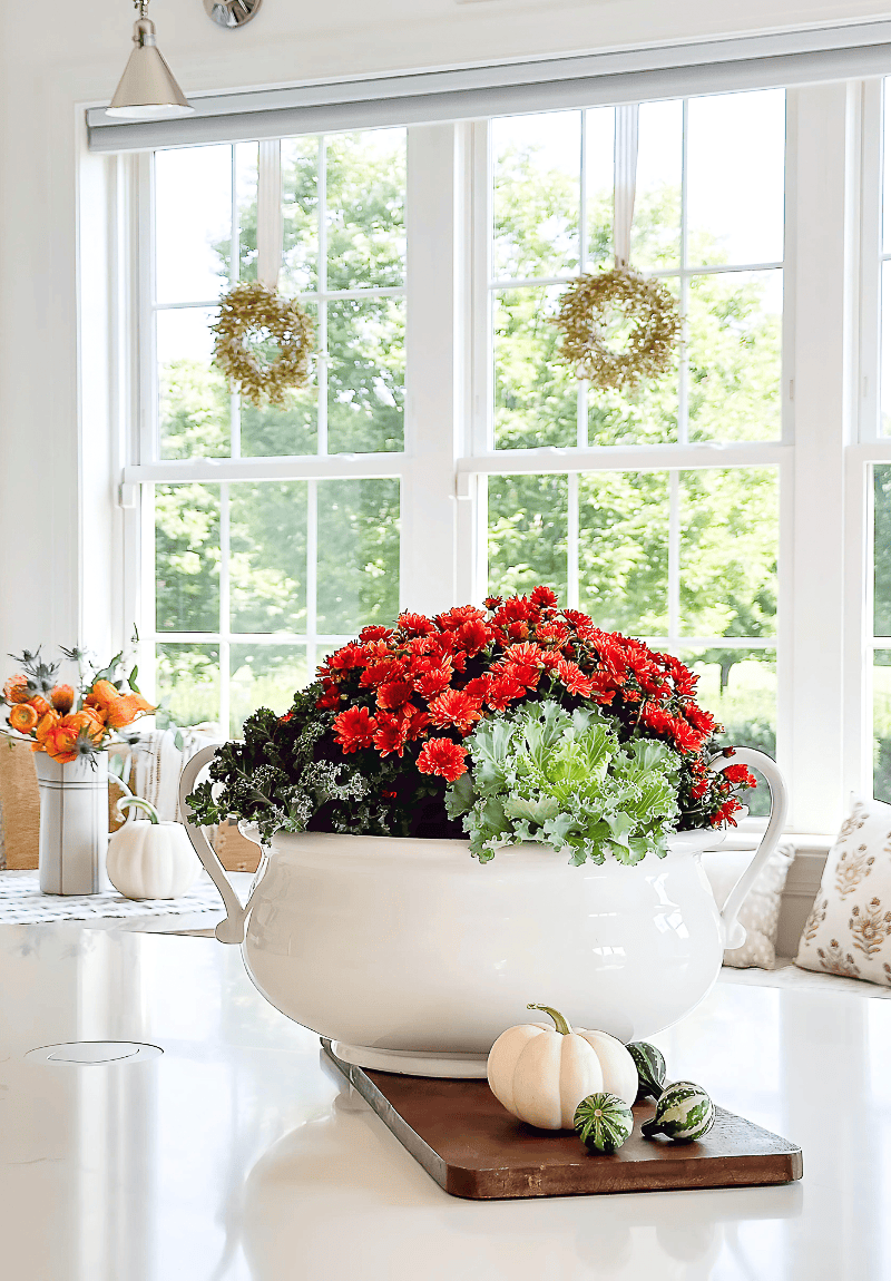 MUMS IN A WHITE CONTAINER