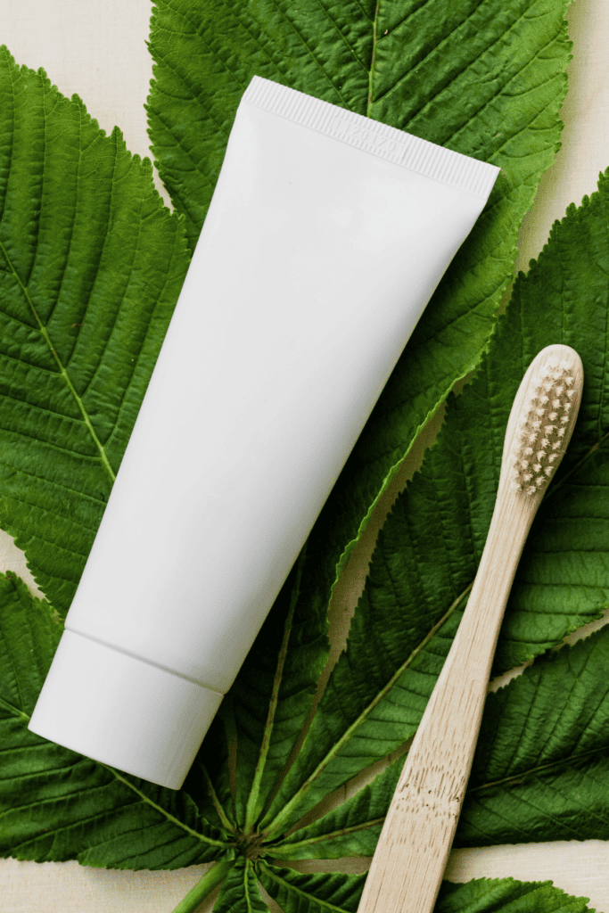 toothpaste and toothbrush on a large leaf