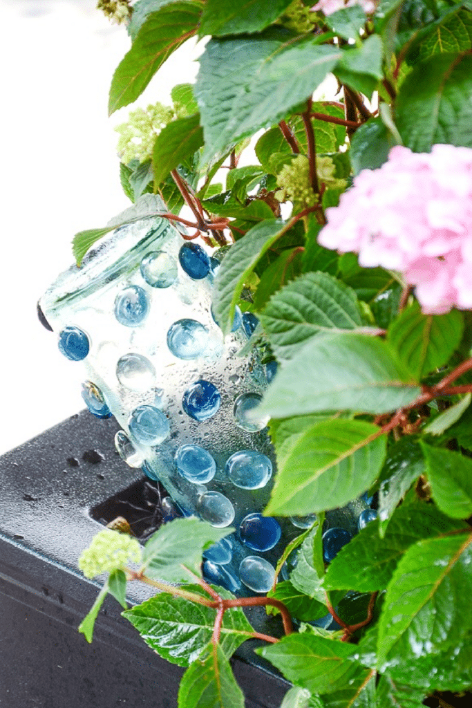 self watering stake
